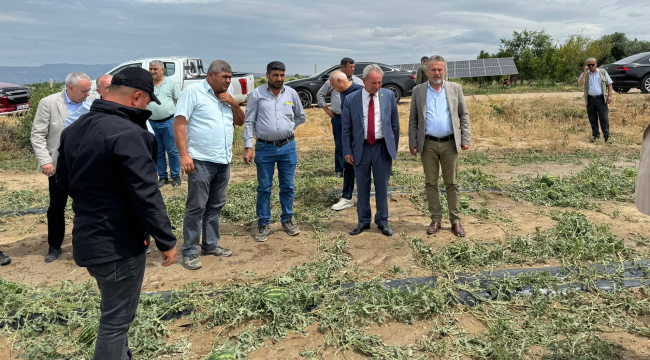 CHP'liler zarar gören tarlarda ürün incelemelerinde bulundu