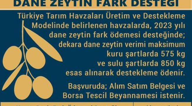 Dane mısır,k.pamuk ve dane zeytinde havza farkı ödemesi 