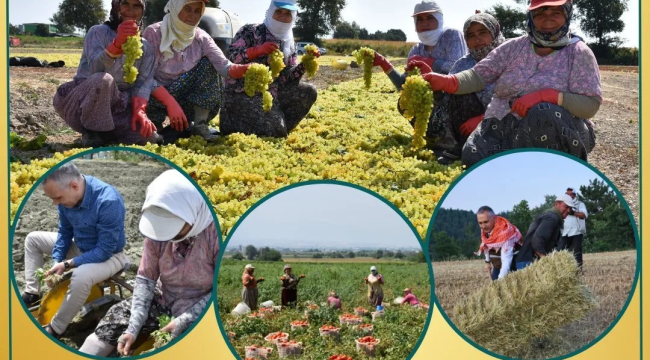 Dünya çiftçiler günü kutlu olsun
