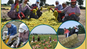 Dünya çiftçiler günü kutlu olsun