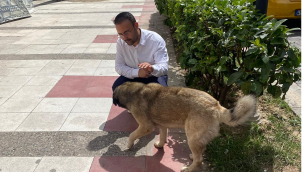 Hayvanların uyutulmasına tepki göstren başkan İksir'devlet öldürmez, yaşatır!'