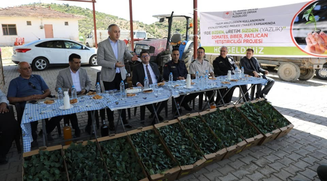 Hibe destekli sebze fide dağıtımı sürüyor