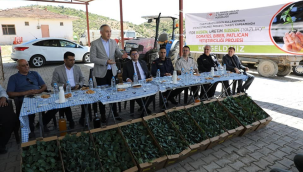 Hibe destekli sebze fide dağıtımı sürüyor