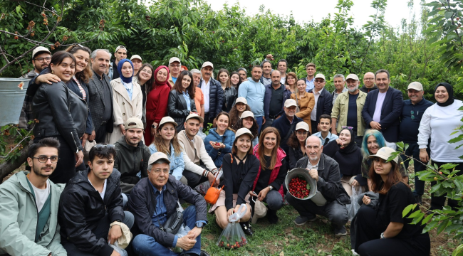  Kemalpaşa'da kiraz hasat şenliği düzenledi