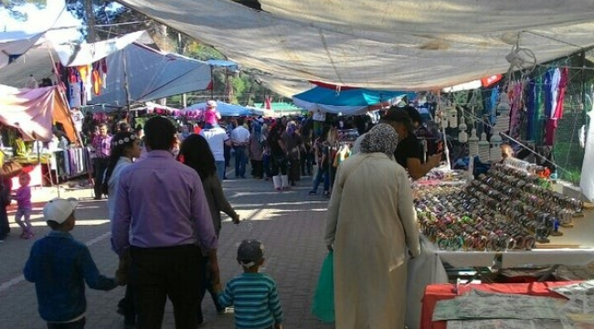 Kırkağaç çam festivali başladı