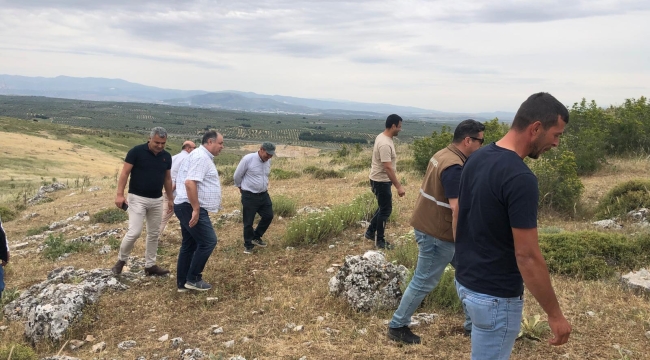 Mera işgallerine son vermek için mera yönetim birliği kuruldu