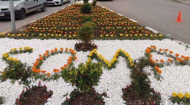 Soma'da park ve bahçelerde çiçek açtı