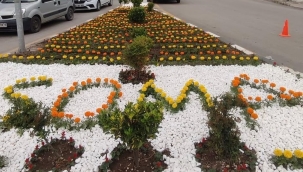 Soma'da park ve bahçelerde çiçek açtı