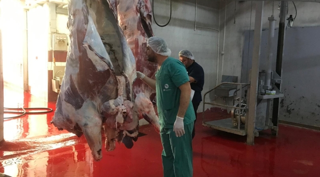 Soma'da veterinerler mezbahaları denetledi