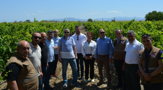 Tarım heyeti Manisa'da ekim, dikim, hasat ve üretimi alanında incelemeler yaptı