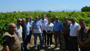 Tarım heyeti Manisa'da ekim, dikim, hasat ve üretimi alanında incelemeler yaptı