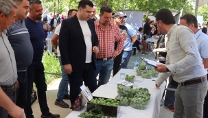 Yarışmayı kazanacak en güzel eriğe 2 bin TL mazot desteği