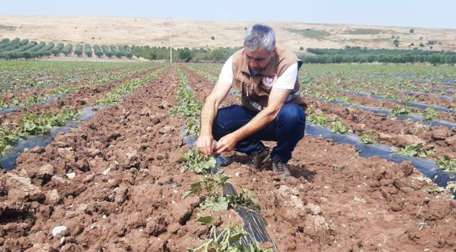 Zarar tesbit çalışmaları başladı