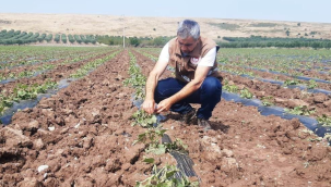 Zarar tesbit çalışmaları başladı