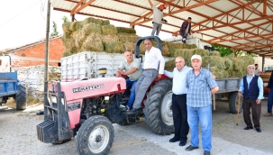 Alaşehir'de belediyenin üreticilere ücretsiz yonca dağıtımı sürüyor
