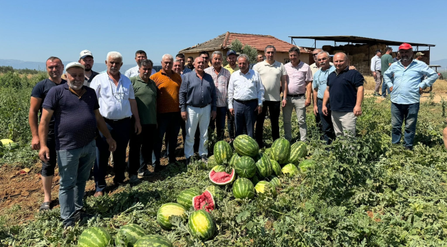 Başkan Nurlu karpuz hasadına katıldı