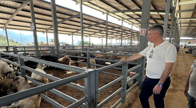 Başkan Okur hayvan pazarında