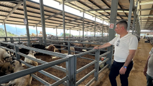 Başkan Okur hayvan pazarında