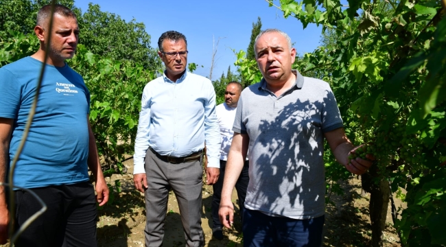 CHP'liler bağlarda incelemede bulundu,üreticileri dinledi