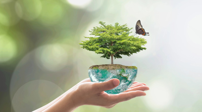 Dünya çevre günü kutlu olsun