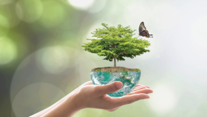 Dünya çevre günü kutlu olsun