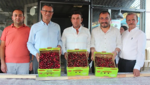 En güzel kiraza tam altın