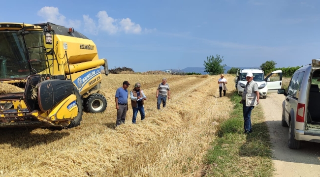 Hasat alanlarında tane kaybına karşı biçerdöver denetimi başladı