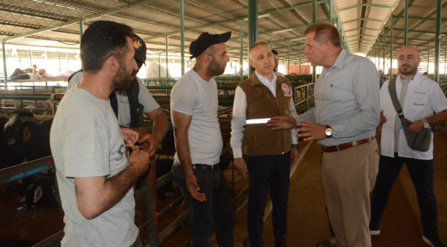 Hayvan var alıcı yok