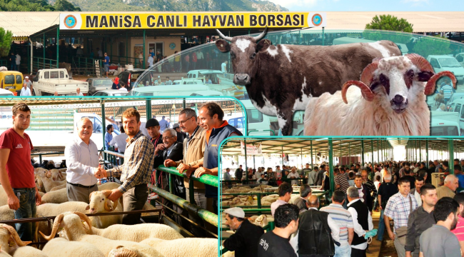 Hayvan var,fiyatlar pahalı alıcı yok