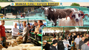 Hayvan var,fiyatlar pahalı alıcı yok