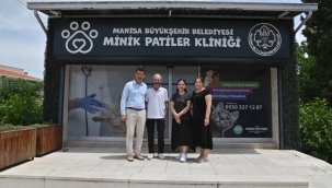 Hayvanlar uyutulmuyor kısırlaştırılıyor