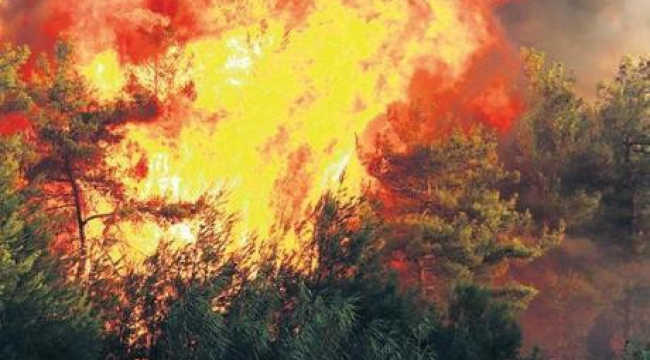 İzmir'deki yangın Aydın'a sıçradı