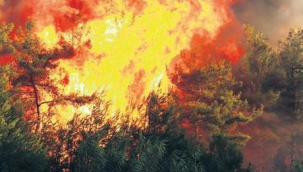 İzmir'deki yangın Aydın'a sıçradı