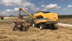 Manisa'da bir gün süreyle biçerdöver ile hububat hasadı durduruldu