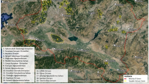 Manisa'da yangından korunacak orman alanları koruma altına alındı