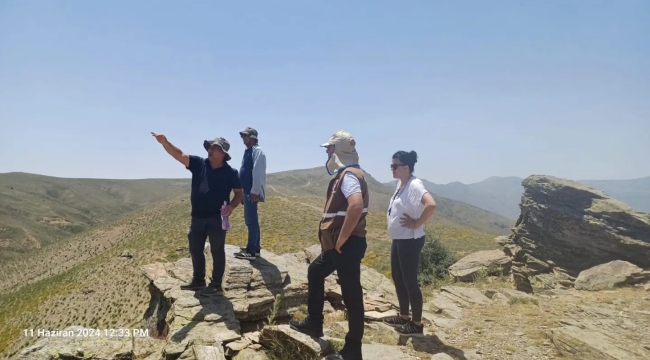 Salihli'de çekirge ile mücadele çeliması