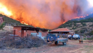 Salihli'de yüzlerce hektar alan küle döndü