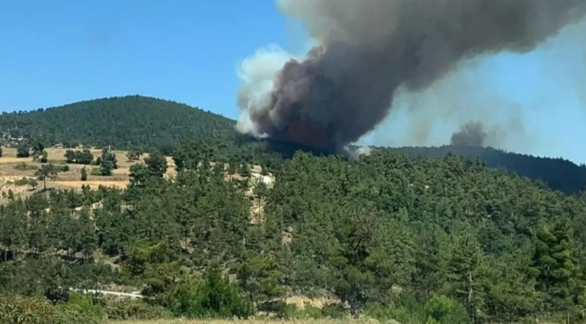 Yangın nedeniyle Çanakkale boğazı gemi trafiğine kapatıldı