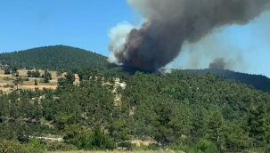 Yangın nedeniyle Çanakkale boğazı gemi trafiğine kapatıldı