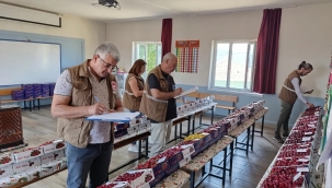 Yarışmaya 63 ütretici katıldı birinciliği Kübra Ulutaş kazandı