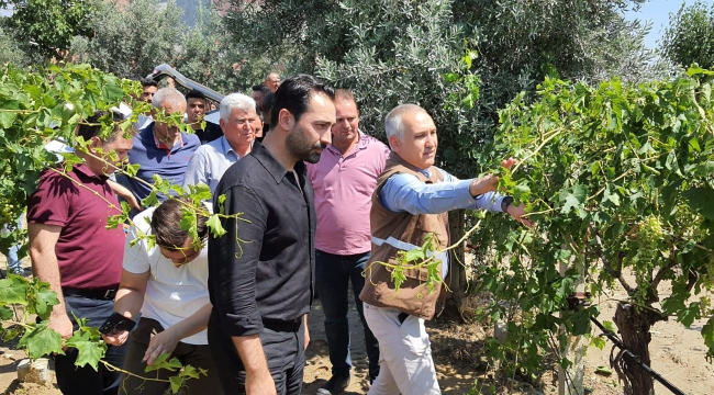 Zarar gören tarım alanlarında inceleme başladı