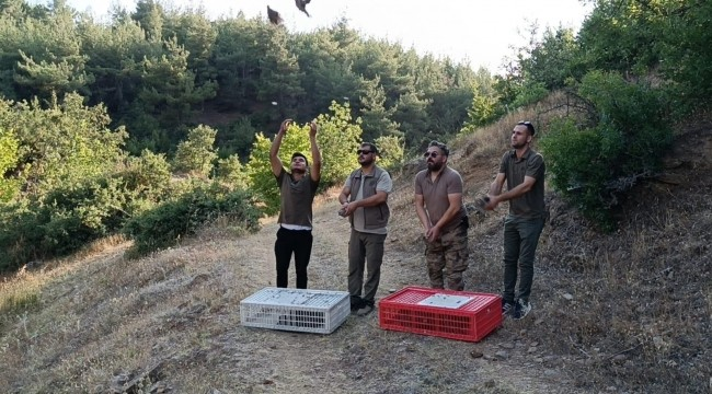 500 keklik,doğaya bırakıldı