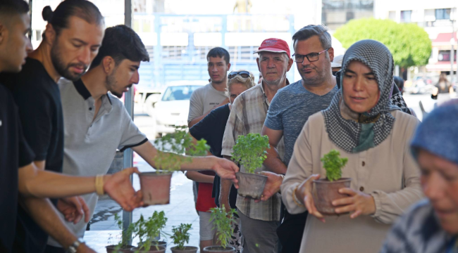 Akhisar belediyesi halka ücretsiz fesleğen dağıttı