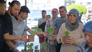 Akhisar belediyesi halka ücretsiz fesleğen dağıttı