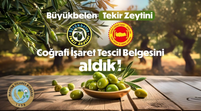 Manisa'nın tescilli ürünler arasına Büyükbelen zeytinide eklendi