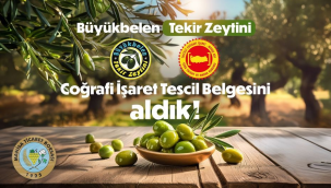 Manisa'nın tescilli ürünler arasına Büyükbelen zeytinide eklendi