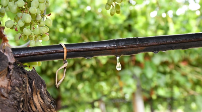 Büyüykşehirden kapalı sulama sistemiyle çiftçiye sağlılıklı hizmet