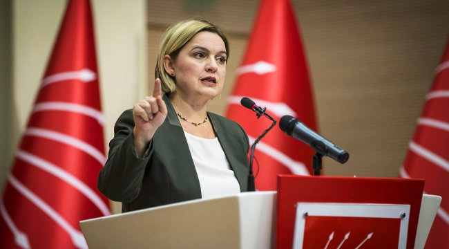 CHP'li Böke'ye yeni görev