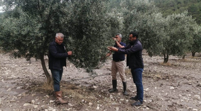   Evkafteke'de zarar saptama çalışmaları başladı