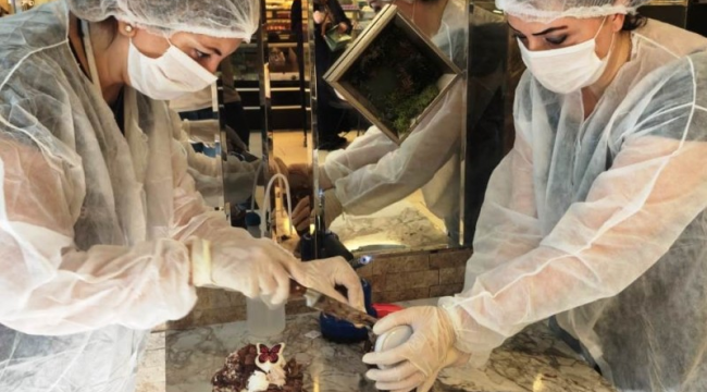 Gıde güvenliği ve halk sağlığını koruma denetimi